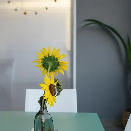 Fratino Pigro Apartamento Alba Adriatica